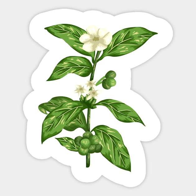 Green Coffe  Botanical Sticker by Salfiart